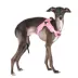 Puppia® Soft Superior "X" Dog Harness image thumbnail 3