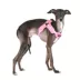 Puppia® Soft Superior "X" Dog Harness image thumbnail 3