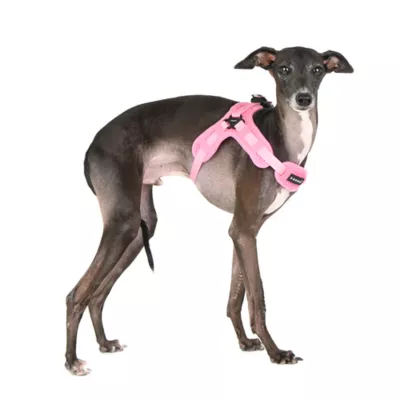 Puppia® Soft Superior "X" Dog Harness - Image 3