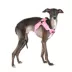Puppia® Soft Superior "X" Dog Harness image thumbnail 3