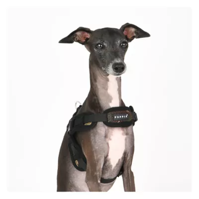 Puppia® Soft Superior "X" Dog Harness - Image 3