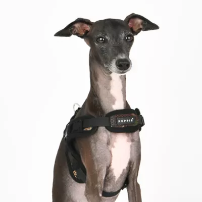 Puppia® Soft Superior "X" Dog Harness - Image 3
