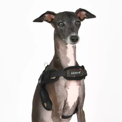 Puppia® Soft Superior "X" Dog Harness - Image 3