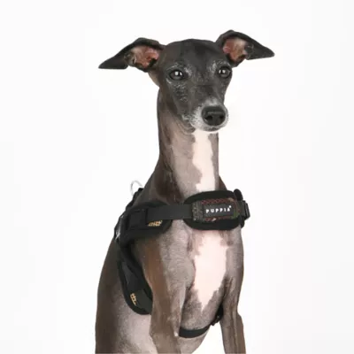 Puppia® Soft Superior "X" Dog Harness - Image 3