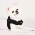 Puppia® Soft Superior "X" Dog Harness image thumbnail 3