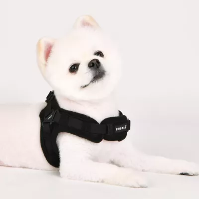Puppia® Soft Superior "X" Dog Harness - Image 3