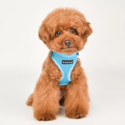 Puppia® Soft Superior "A" Dog Harness - Image 3