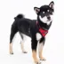 Puppia® Soft Superior "A" Dog Harness image thumbnail 3