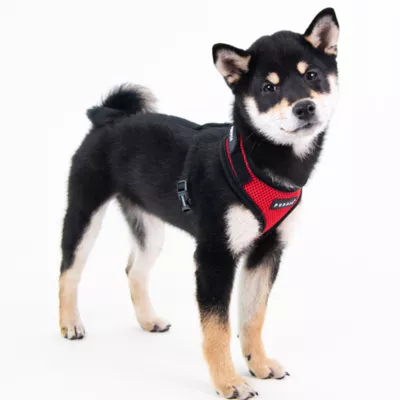 Puppia® Soft Superior "A" Dog Harness - Image 3