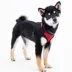 Puppia® Soft Superior "A" Dog Harness image thumbnail 3