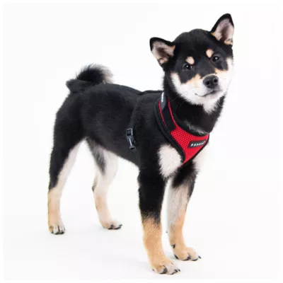 Puppia® Soft Superior "A" Dog Harness - Image 3