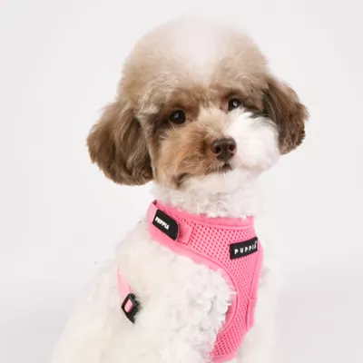 Puppia® Soft Superior "A" Dog Harness - Image 3