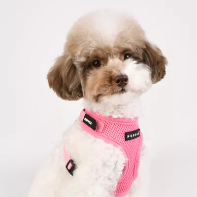 Puppia® Soft Superior "A" Dog Harness - Image 3