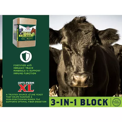 Product Kalmbach Feeds® 3 - in - 1 Cattle Block Supplement
