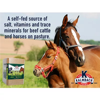 Product Kalmbach Feeds® 3 - in - 1 Cattle Block Supplement