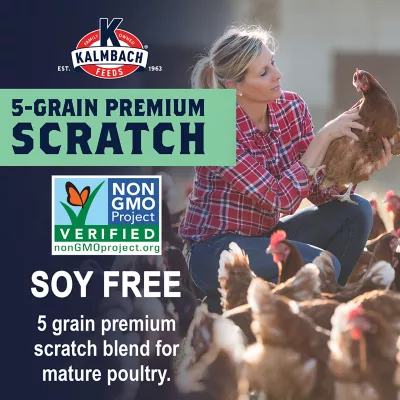 Product Kalmbach Feeds® Soy-Free Non-GMO 5 Grain Premium Scratch