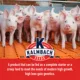 Product Kalmbach Feeds® Pig Pre-starter