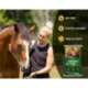 Product Tribute Equine Nutrition® Seniority™ Pellet Horse Feed