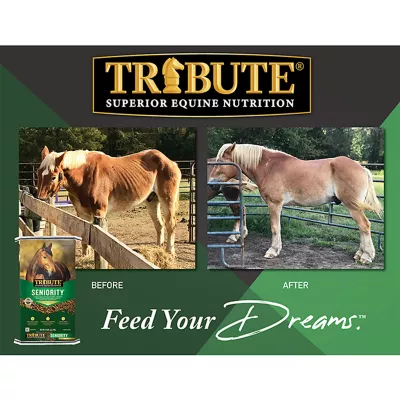 Product Tribute Equine Nutrition® Seniority™ Pellet Horse Feed