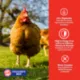 Product Eggland's Best® Layer Crumbles for Chickens