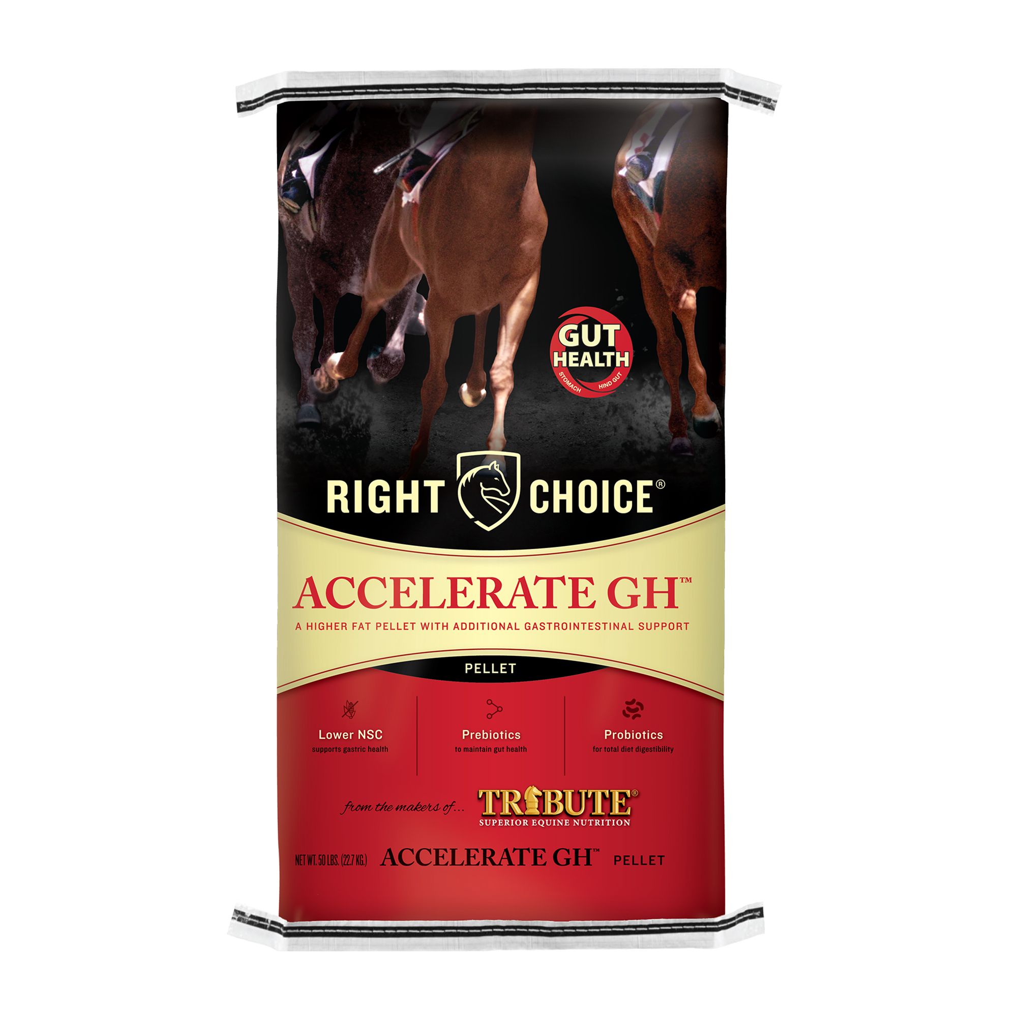 Right Choice® Accelerate GH® Horse Feed