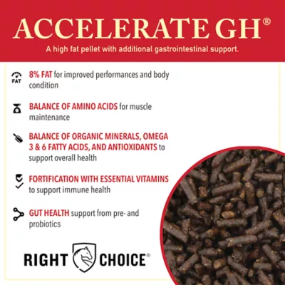 Product Right Choice® Accelerate GH® Horse Feed