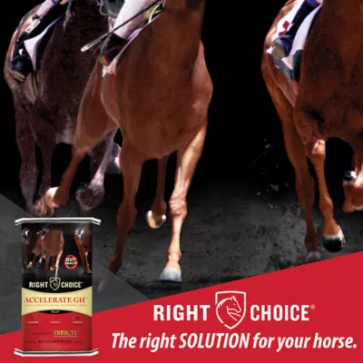 Product Right Choice® Accelerate GH® Horse Feed