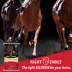 Right Choice® Accelerate GH® Horse Feed image thumbnail 4