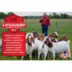 Kalmbach Feeds® 16% Goat Grain image thumbnail 5