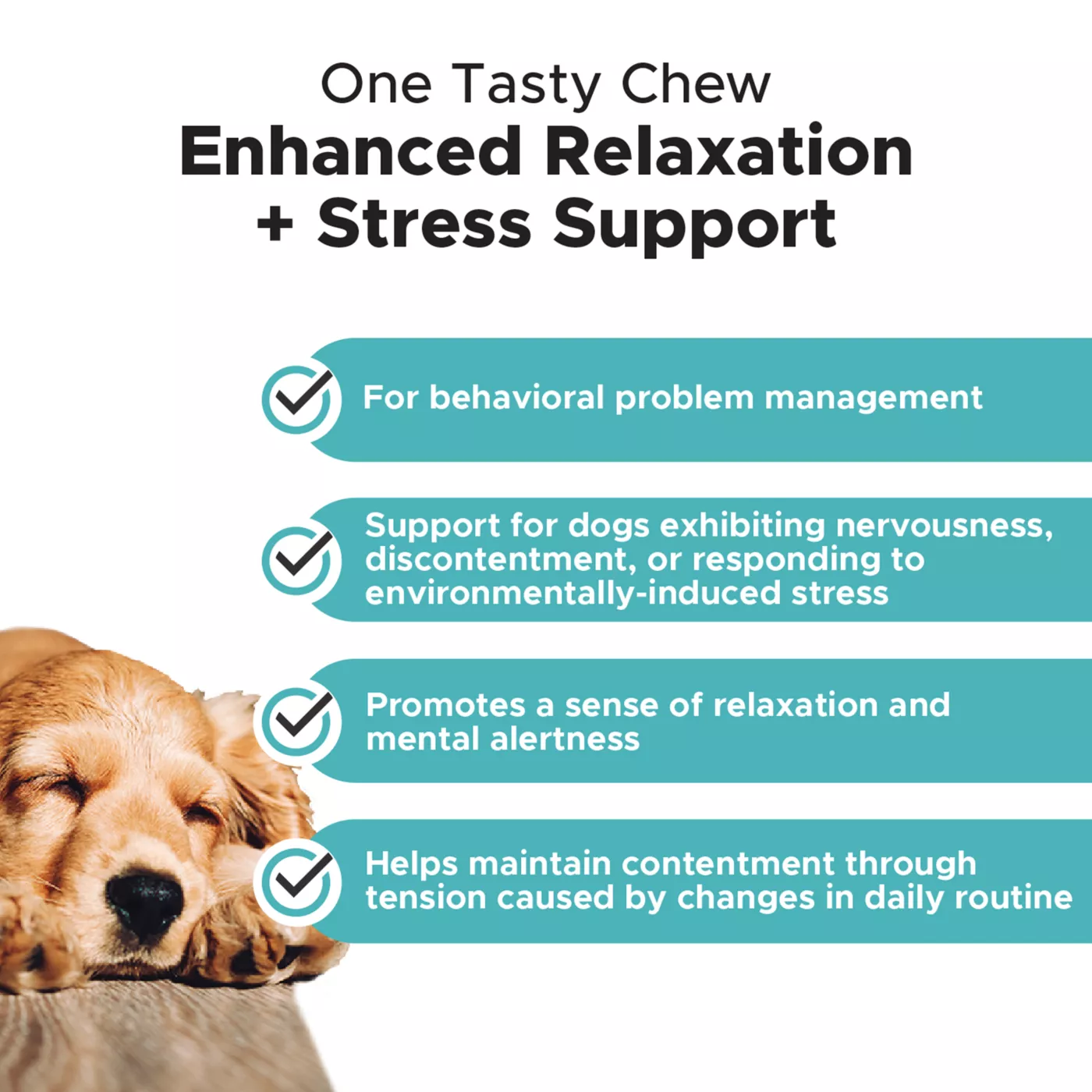 Calming fashion dog chews petsmart