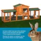 Product Prevue Pet Products Hutch with Double Run