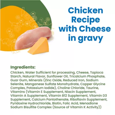 Product Almo Nature Wet Cat Food - Chicken Recipe with Cheese