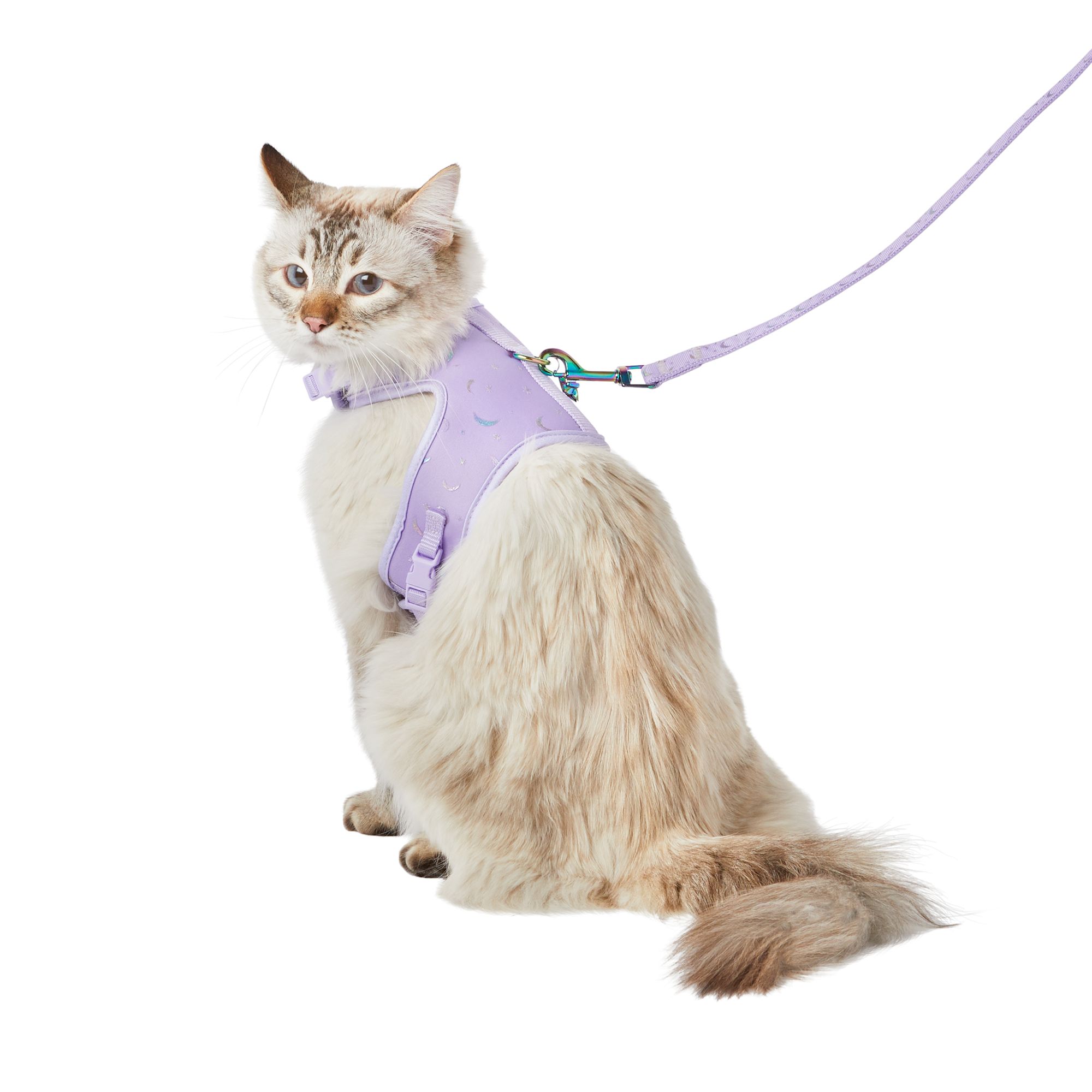 Cat cheap harnesses petsmart