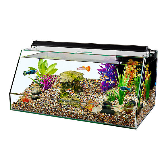 Top Fin 10 Gallon Angled Aquarium | fish Aquariums | PetSmart