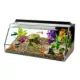 Product Top Fin 10 Gallon Angled Aquarium