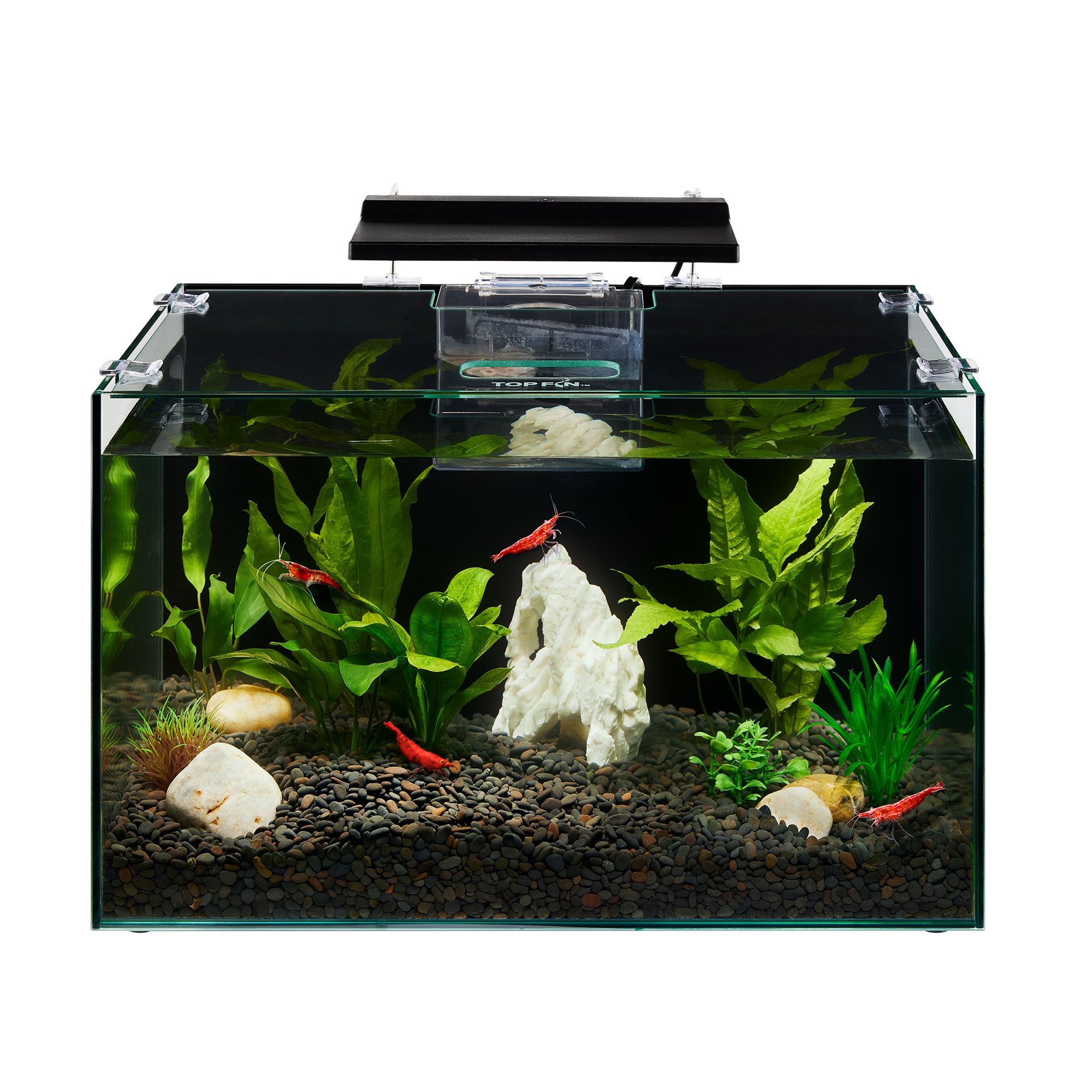 Square Glass Fish Tank White Glass Desktop Small Fish Tank - Temu