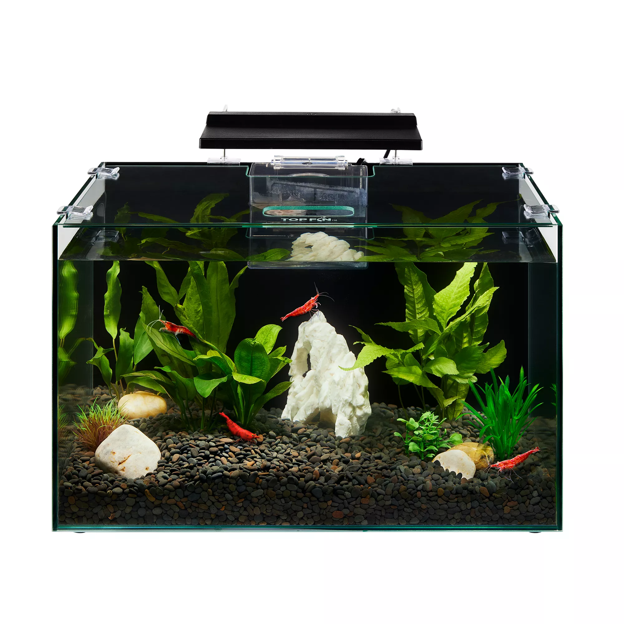 Fish Tanks Bowls Aquariums PetSmart