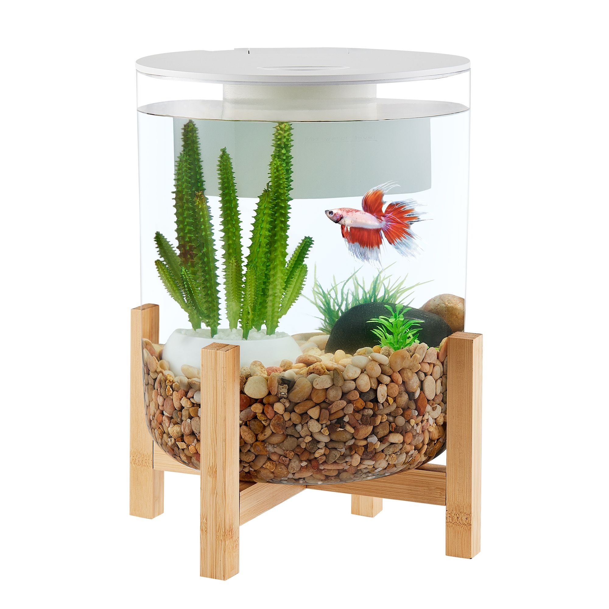 Pineapple fish tank outlet petsmart