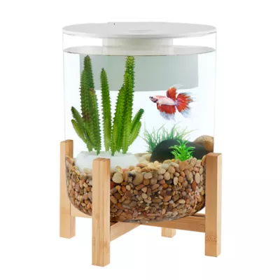 Product Top Fin 3 Gallon Bamboo Base Aquarium