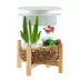 Top Fin® 3 Gallon Bamboo Base Aquarium image thumbnail 1