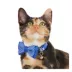 Whisker City® Blue Plaid Bow Tie Easy Release Kitten & Cat Collar image thumbnail 2