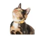 Whisker City® Yellow Mice Print Easy Release Kitten & Cat Collar image thumbnail 2