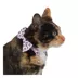 Whisker City® Pink Skull & Bones Bow Tie Easy Release Kitten & Cat Collar image thumbnail 2