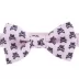Whisker City® Pink Skull & Bones Bow Tie Easy Release Kitten & Cat Collar image thumbnail 4
