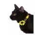 Whisker City® Sunflower Easy Release Kitten & Cat Collar image thumbnail 2