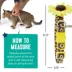 Whisker City® Sunflower Easy Release Kitten & Cat Collar image thumbnail 5