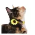 Whisker City® Sunflower Easy Release Kitten & Cat Collar image thumbnail 2