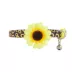 Whisker City® Sunflower Easy Release Kitten & Cat Collar image thumbnail 3