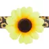 Whisker City® Sunflower Easy Release Kitten & Cat Collar image thumbnail 4