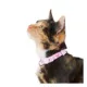 Product Whisker City® Pink Princess Easy Release Kitten & Cat Collar